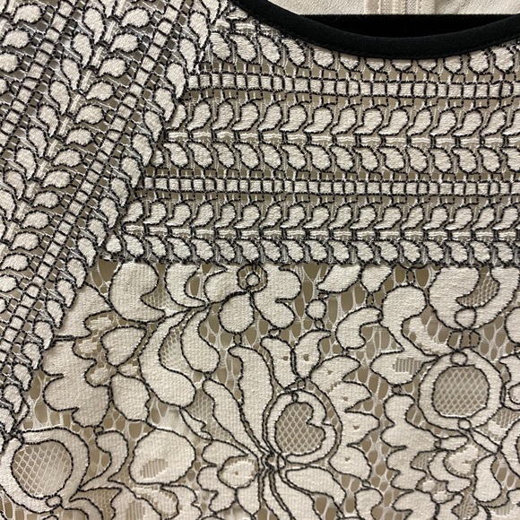 Cream & Black Lace Ann Taylor Loft Dress - Picture 2 of 3